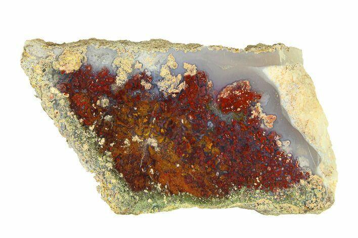 Polished Colorful Plume Agate Slab - Java, Indonesia #293377